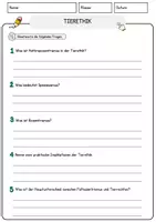 Vorschau - Arbeitsblätter - Tierethik Arbeitsblätter mit Fragen + Lösungen Religion Leseverstehen und Wortschatz - Seite 3