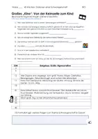 Vorschau - Arbeitsblätter - AB + super Film: Ablauf einer Schwangerschaft- einfache Vorbereitung! - Seite 2