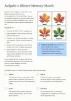 Vorschau - Stundenentwürfe - Materialpaket: Sachunterricht 1-4 Klassen: Natur und Leben - Seite 3