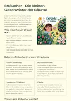 Vorschau - Mal- und Bastelvorlagen - Unsere wunderbare Pflanzenwelt: Wiese, Bäume und Sträucher - Deckblatt