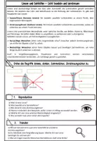 Vorschau - Arbeitsblätter - Linsen Sehhilfen – Licht bündeln und zerstreuen (Optik) - Seite 3
