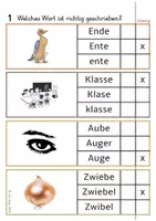Vorschau - Arbeitsblätter - 30 Klammerkarten - Welche Schreibweise ist richtig? - Seite 1