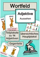 Vorschau - Poster - Adjektive: Aussehen – Wortfelder & Gegenteile - Deckblatt