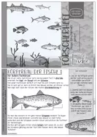 Vorschau - Stundenentwürfe - Forscherheft zu den Fischen / Fische im Biologieunterricht - Seite 1