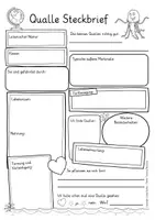 Vorschau - Arbeitsblätter - Qualle Steckbrief Sachunterricht Grundschule Quallenklasse differenziert - Seite 2