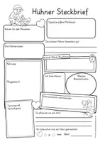 Aperçu - Feuilles d'exercices - Haustiere Deutsch / Allemand Bundle Materialpaket - Page 3