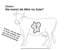 Vorschau - Stundenentwürfe - Stationenlernen "Milch": Station 1 - Wie kommt die Milch ins Euter? - Deckblatt