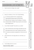 Vorschau - Test - "Cool wie Bolle" | Lernzielkontrolle, Klassenarbeit, Test - Seite 1