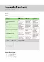 Vorschau - Lehrpläne/Lehrermaterial - Bewertungsraster - Teamarbeit im Labor - Chemie - Seite 2