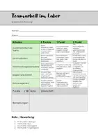 Vorschau - Lehrpläne/Lehrermaterial - Bewertungsraster - Teamarbeit im Labor - Chemie - Seite 1