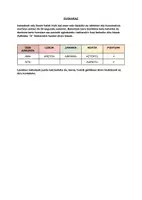 Vista previa - Juegos / Gamificación - ... hizkiarekin asmatu hitzak! - Portada