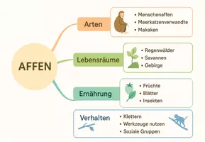 Vorschau - Arbeitsblätter - Arbeitsblatt zum Thema "Affen" + Onlineübung & MP3 + Mindmap + Infografik - Seite 2