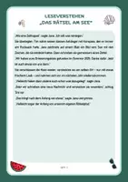 Vorschau - Arbeitsblätter - Deutsch Leseverstehen Sommer Rätsel (Klasse 4-6) - Seite 3