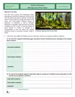 Vorschau - Arbeitsblätter - Metabolism - Complex Exercise - Metabolism in Fish Tanks - Seite 1