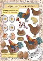 Vorschau - selbst erstellte Cliparts/Grafiken - Clipart-Set: Das Haushuhn - Vom Ei zum Huhn - Deckblatt