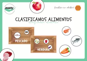 Vista previa - Tarjetas / Manipulativos - CLASIFICAMOS ALIMENTOS - página 1