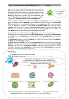 Vorschau - Arbeitsblätter - Cytologie - Was ist das? - Seite 2