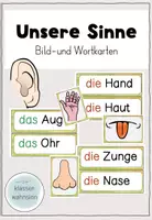 Vorschau - Fördermaterial/Inklusion - Unsere Sinne - Bild- und Wortkarten - Deckblatt