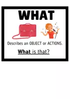 Vista previa - Refuerzo / NEE / Materiales de apoyo - Wh- questions posters - página 2