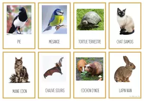 Aperçu - Cartes / Images - Cartes nomenclature animaux domestiques & jardin - Page 1