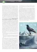 Vorschau - Stundenentwürfe - Tyrannenmord? Das Ende der Serie Game of Thrones aus theologisch-ethischer Perspektive - Seite 3