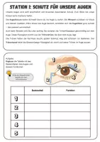 Vorschau - Stationenlernen - Das Auge - Stationsarbeit und Tafelmaterial | Unterrichtsreihe "Unsere Sinne"- Biologie 5./6. Klasse - Seite 1