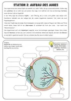 Vorschau - Stationenlernen - Das Auge - Stationsarbeit und Tafelmaterial | Unterrichtsreihe "Unsere Sinne"- Biologie 5./6. Klasse - Seite 2