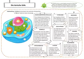 Vorschau - Arbeitsblätter - Die tierische Zelle verstehen! - Seite 1
