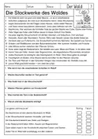 Vorschau - Arbeitsblätter - Lesen & Verstehen - Der Wald (Klasse 3-5) - Seite 3