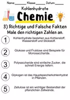 Vorschau - Unterrichtsreihen - Kohlenhydrate Informationen und Aufgaben - Seite 2