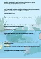 Vorschau - Aufgabenkarten - Quiz Amphibienhaus Erlebnis-Zoo Hannover - Seite 2