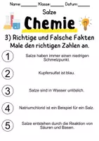 Vorschau - Unterrichtsreihen - Salze Informationen und Aufgaben - Seite 2