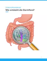 Vorschau - Arbeitsblätter - Wie entsteht die Darmflora? – Mikrobiom & Gesundheit (Klasse 7–11) - Deckblatt