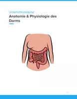 Vorschau - Arbeitsblätter - Anatomie & Physiologie des Darms – Unterrichtsmaterial (Klasse 9–12) - Deckblatt