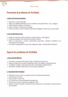Vista previa - Decoración del aula - Guía visual: Cómo prevenir o superar los problemas de fertilidad - página 3