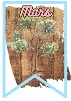 Aperçu - Affichage - Bannière anniversaire nature cycle1, 2 et 3 - Page 2