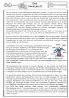 Vorschau - Arbeitsblätter - Das Korallenriff, Sachtext Klasse 3, Klasse 4, DaZ, DaF, Leseverstehen - Seite 2