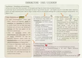 Vorschau - Merkblätter - Ernährungstrends Nahrungsergänzungsmittel + Vegane vegetarische Ernährung - Seite 2