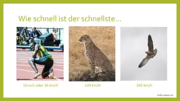 Vorschau - Stundenentwürfe - Experiment: Die eigene Geschwindigkeit messen - Deckblatt
