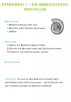 Vorschau - Arbeitsblätter - Fossilien‑Experimente | SEK I Geowissenschaften | 12+ Seiten Praxismaterial - Seite 2