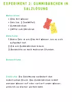 Vorschau - Arbeitsblätter - Gummibärchen‑Experimente Worksheet | Sek I Chemie | 12+ Seiten Praxismaterial - Seite 3