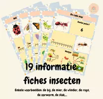 Voorbeeld - Informatie boekje insecten - Voorblad