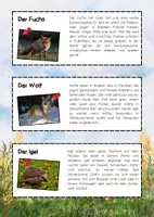 Vorschau - Mal- und Bastelvorlagen - Heimische Tierarten Lesetexte zum Ausschneiden - Seite 2