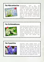 Vorschau - Mal- und Bastelvorlagen - Frühblüher Lesetexte zum Ausschneiden - Seite 3