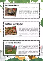 Vorschau - Arbeitsblätter - Ökosystem Wald Bundle: Nahrungsketten, Waldtypen, Funktionen, Schutz, Stockwerke - Seite 3