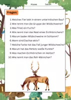 Vorschau - Mal- und Bastelvorlagen - Waldtiere Lesetexte: Fuchs, Reh, Wildschwein, Hase, Dachs, Eichhörnchen - Seite 3