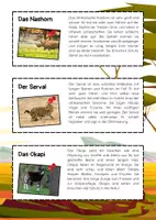 Vorschau - Mal- und Bastelvorlagen - Tiere Afrikas Lesetexte zum Ausschneiden - Seite 2