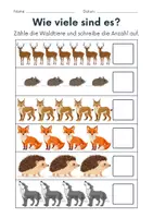 Vorschau - Arbeitsblätter - Tiere im Wald Zählen/Mathematik - Klasse 1 und 2 - Seite 2