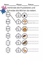 Vorschau - Lehrpläne/Lehrermaterial - Tiere im Wald Silben/Wortschatz DaZ/DaF, deutsch - Seite 3