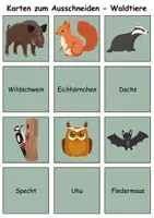 Vorschau - Arbeitsblätter - Merk es dir Tiere im Wald (Bild-Wort) - DaZ/DaF, Deutsch (Klasse 1 bis 4) - Seite 2